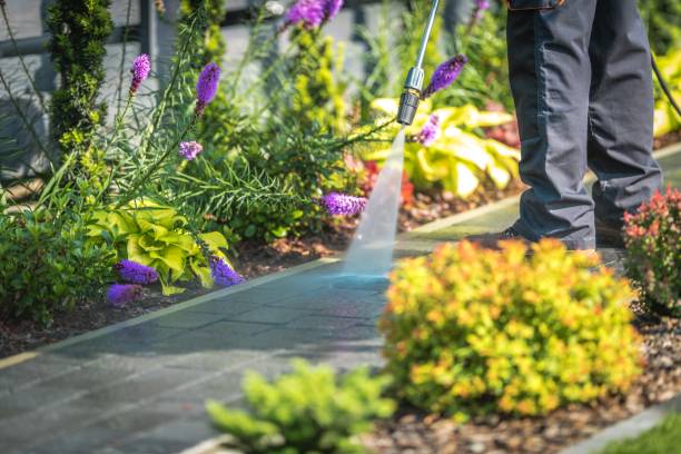 Best Parking Lot and Garage Cleaning  in Ocklawaha, FL