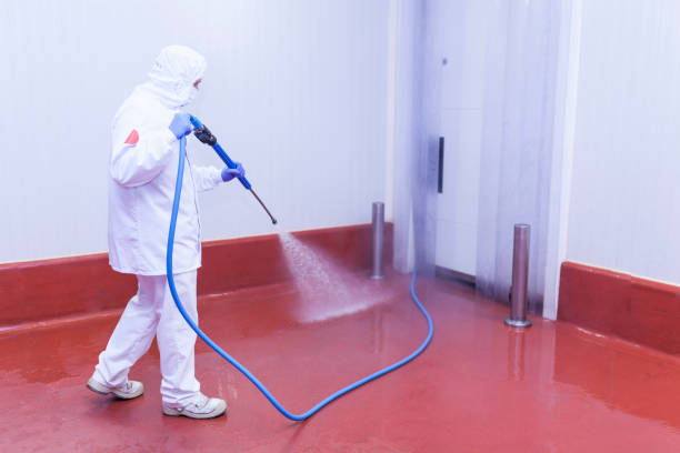 Professional Pressure Washing Services in Ocklawaha, FL